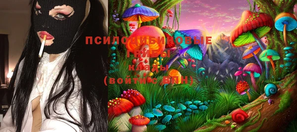 spice Алексеевка
