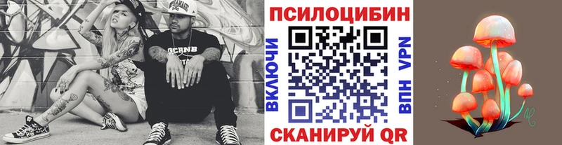 Псилоцибиновые грибы Psilocybe  Хвалынск 